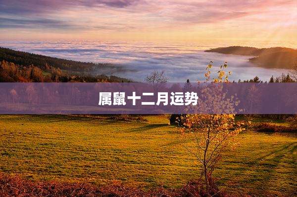 属鼠十二月运势