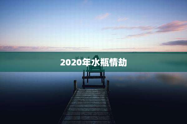 2020年水瓶情劫