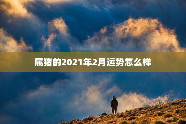 属猪的2021年2月运势怎么样