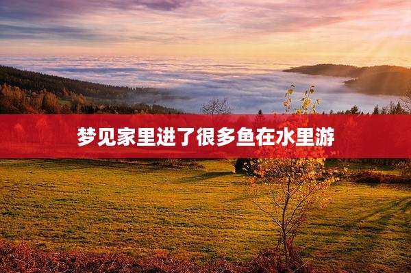 梦见家里进了很多鱼在水里游