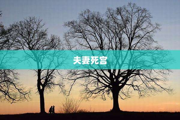 夫妻死宫