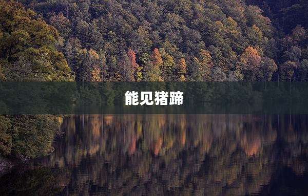 能见猪蹄
