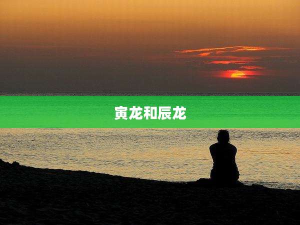 寅龙和辰龙