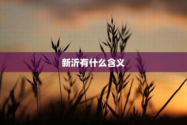 新沂有什么含义