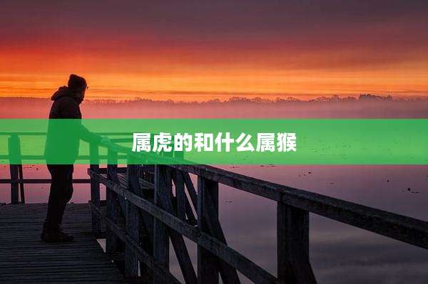 属虎的和什么属猴
