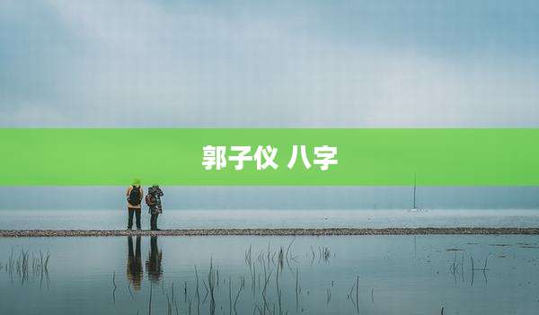 郭子仪 八字