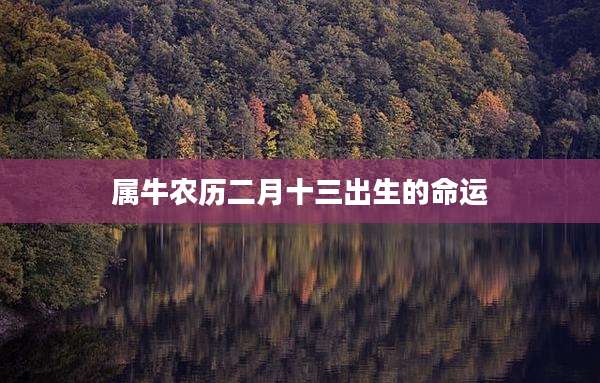 属牛农历二月十三出生的命运