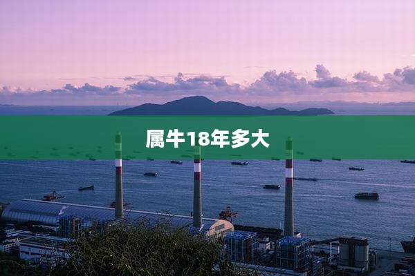 属牛18年多大