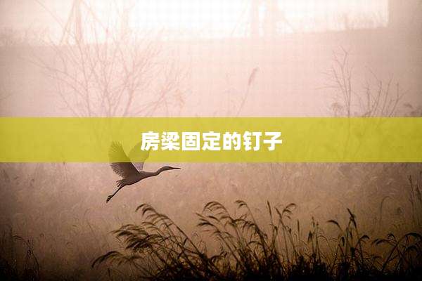 房梁固定的钉子