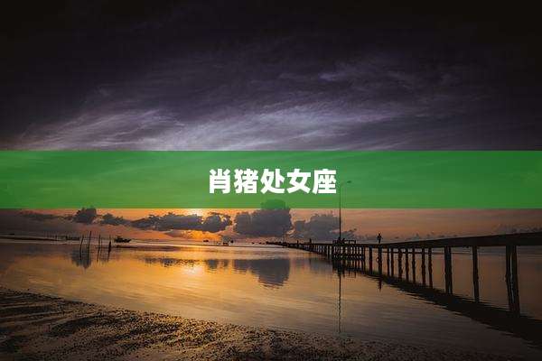 肖猪处女座