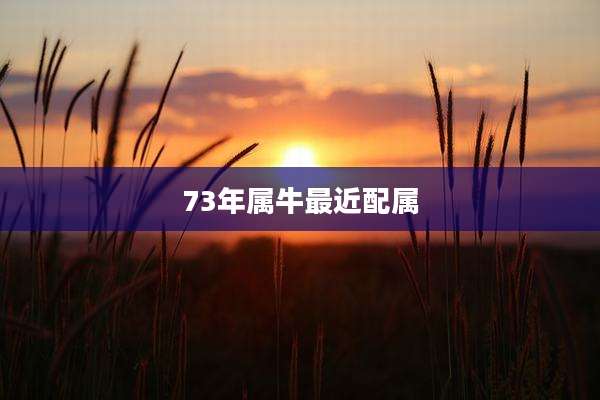 73年属牛最近配属