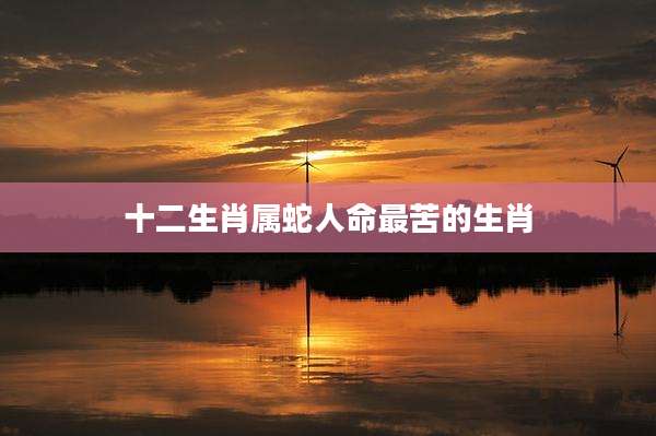 十二生肖属蛇人命最苦的生肖
