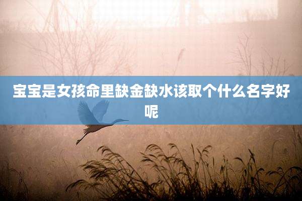 宝宝是女孩命里缺金缺水该取个什么名字好呢