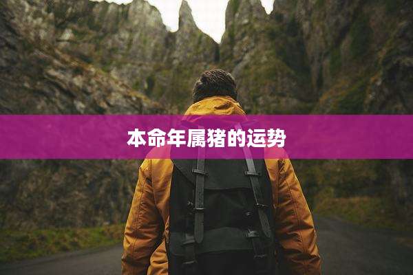 本命年属猪的运势