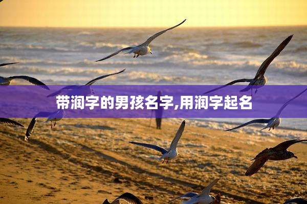 带润字的男孩名字,用润字起名