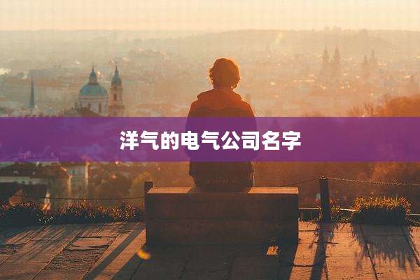 洋气的电气公司名字