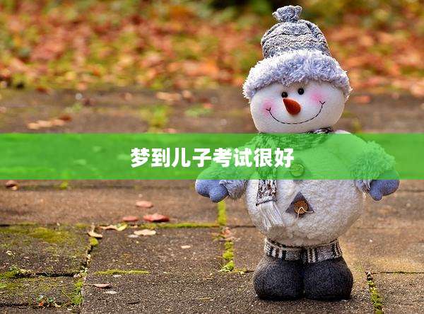 梦到儿子考试很好