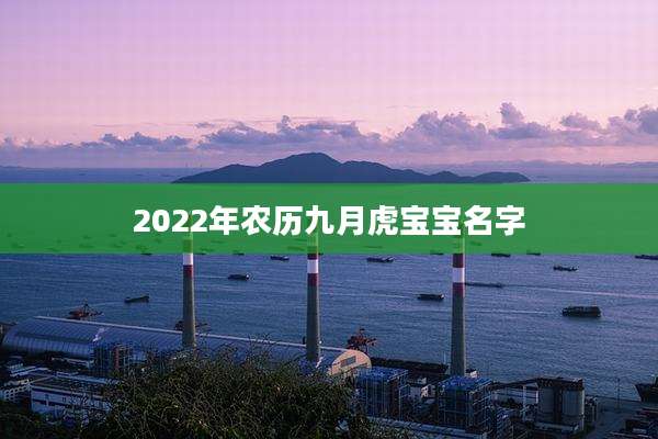 2022年农历九月虎宝宝名字