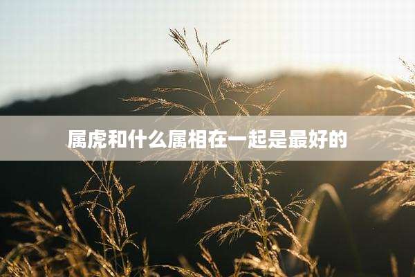 属虎和什么属相在一起是最好的