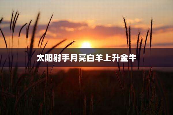 太阳射手月亮白羊上升金牛