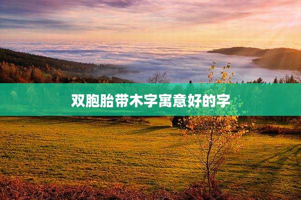 双胞胎带木字寓意好的字