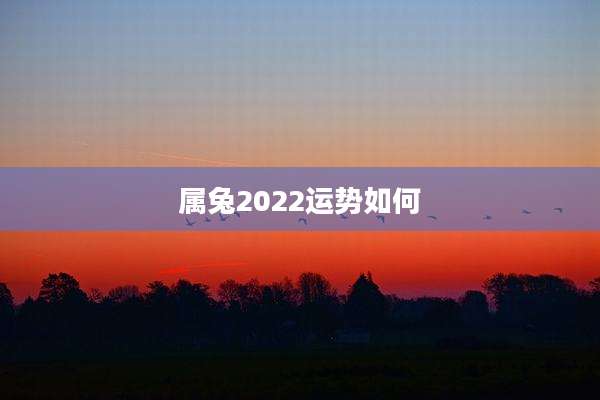 属兔2022运势如何