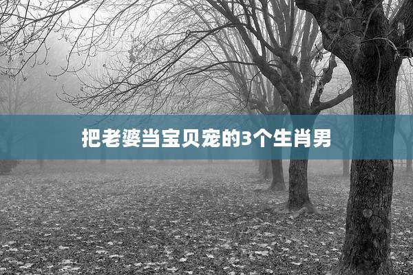 把老婆当宝贝宠的3个生肖男