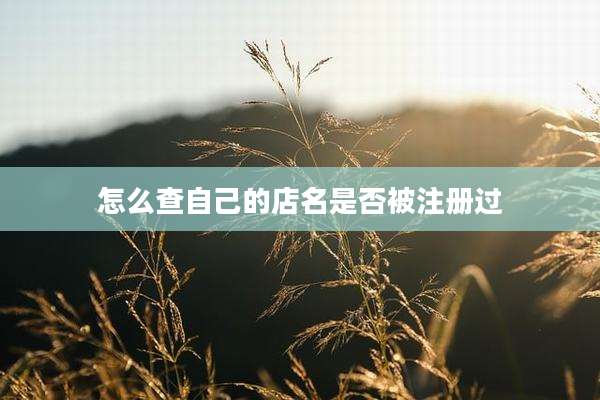 怎么查自己的店名是否被注册过