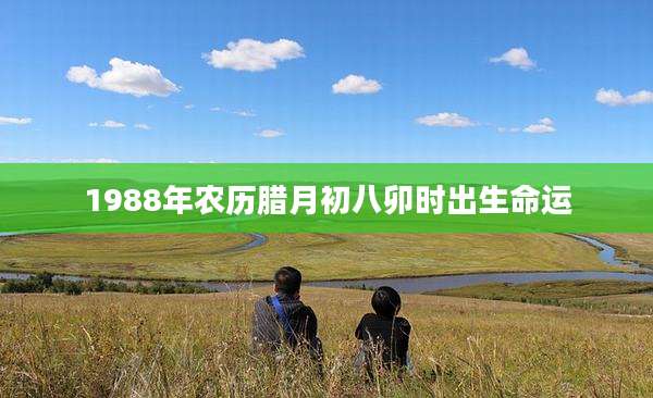 1988年农历腊月初八卯时出生命运