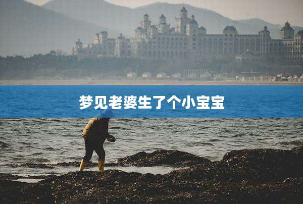 梦见老婆生了个小宝宝
