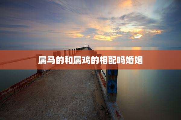 属马的和属鸡的相配吗婚姻