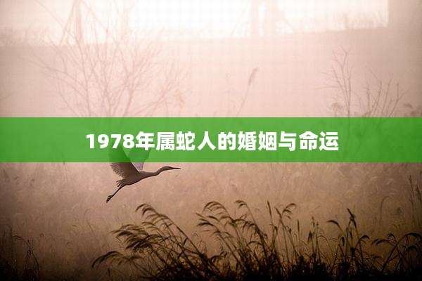 1978年属蛇人的婚姻与命运