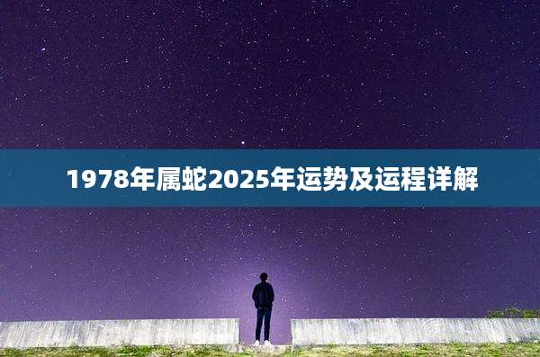 1978年属蛇2025年运势及运程详解