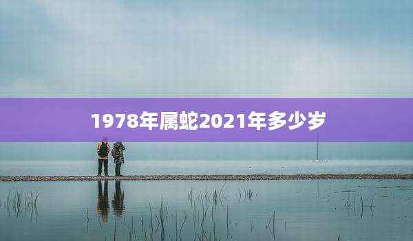 1978年属蛇2021年多少岁