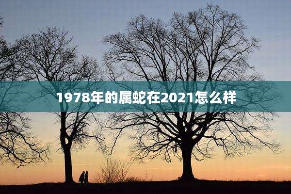 1978年的属蛇在2021怎么样