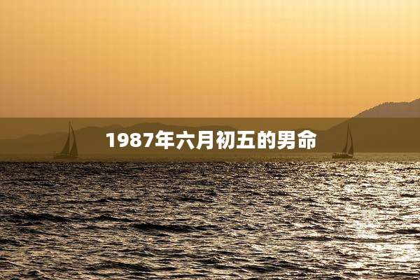 1987年六月初五的男命