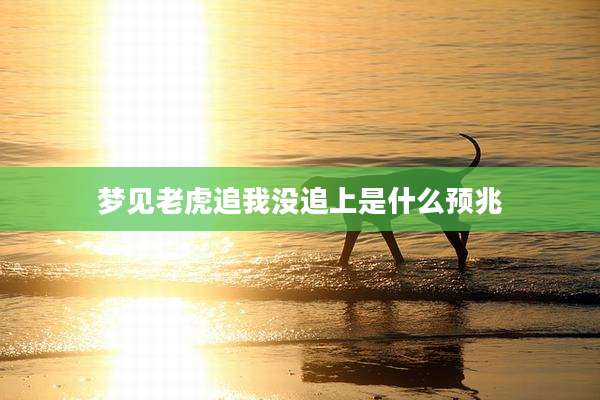 梦见老虎追我没追上是什么预兆