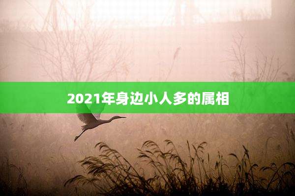 2021年身边小人多的属相
