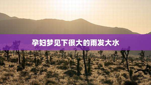 孕妇梦见下很大的雨发大水