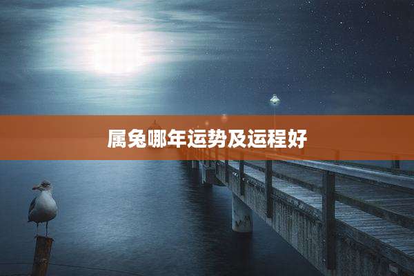 属兔哪年运势及运程好