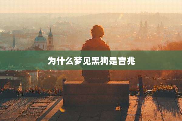 为什么梦见黑狗是吉兆