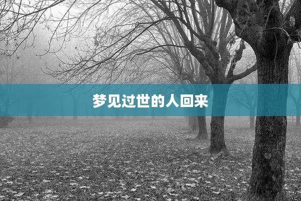梦见过世的人回来