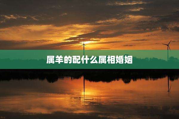 属羊的配什么属相婚姻