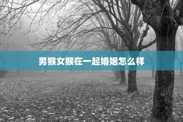 男猴女猴在一起婚姻怎么样
