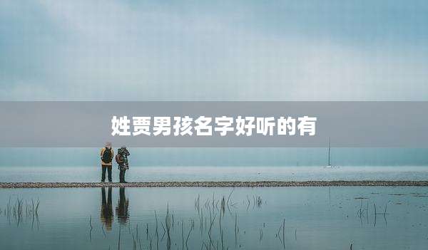 姓贾男孩名字好听的有