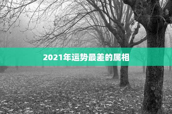 2021年运势最差的属相