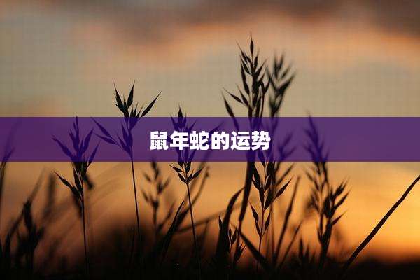 鼠年蛇的运势