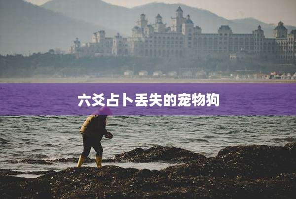 六爻占卜丢失的宠物狗