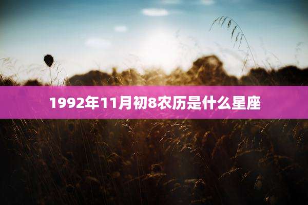 1992年11月初8农历是什么星座