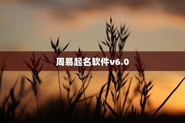 周易起名软件v6.0